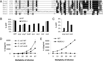 Fig 3.