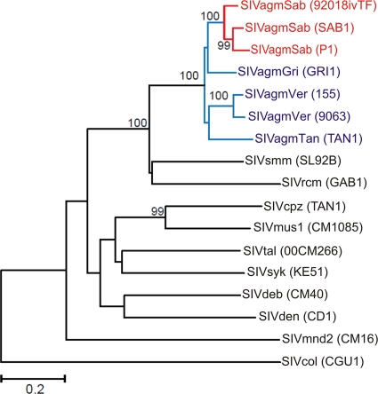 FIG. 2.