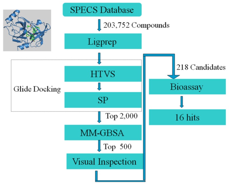 Figure 2