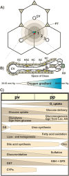 Fig. 1.