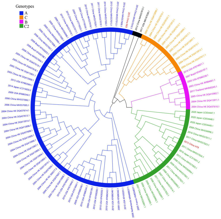 Figure 4