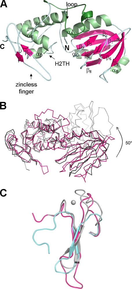 FIGURE 1.