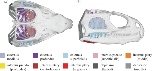 Figure 1.