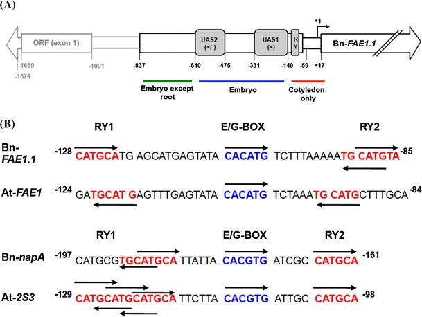 Fig. 7