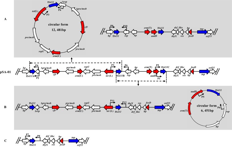 FIG 3