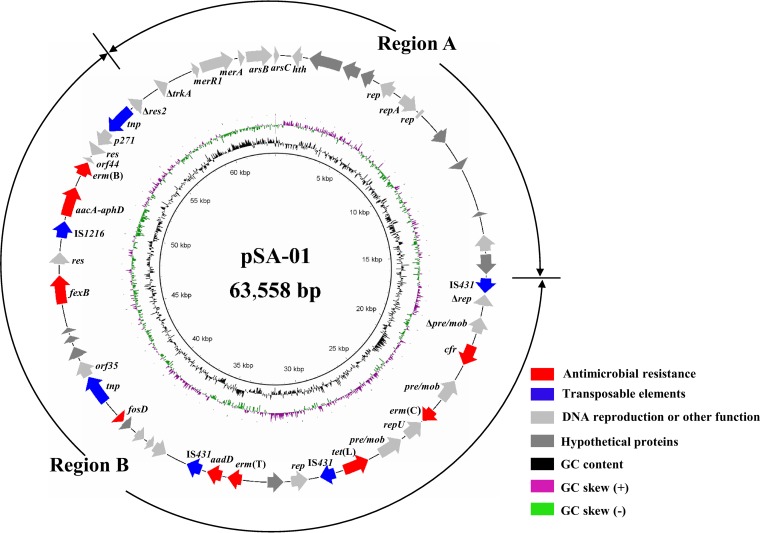 FIG 1