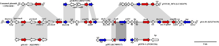 FIG 2