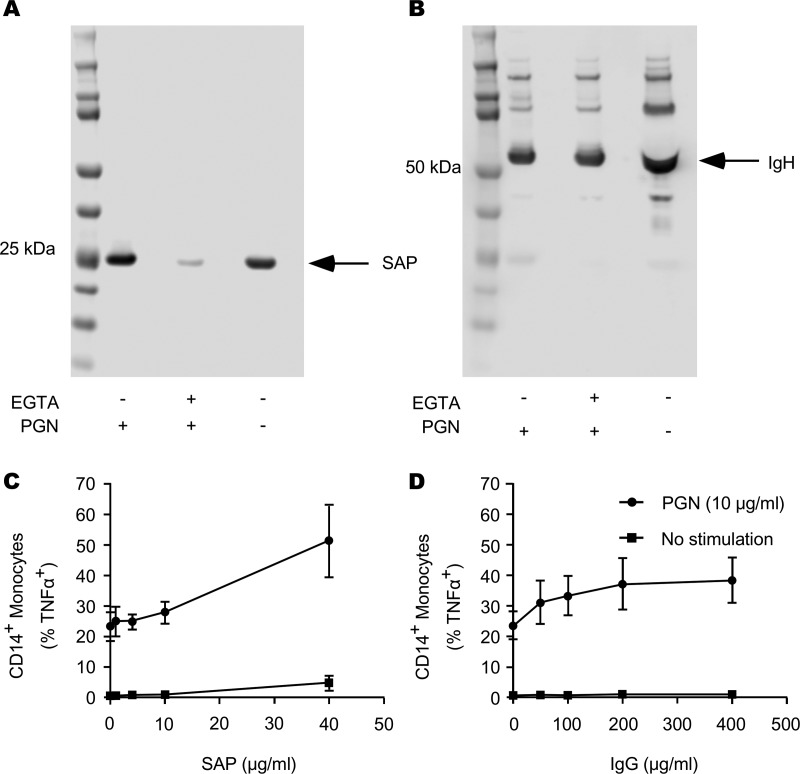 FIG 2