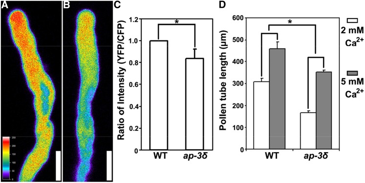 Figure 6.