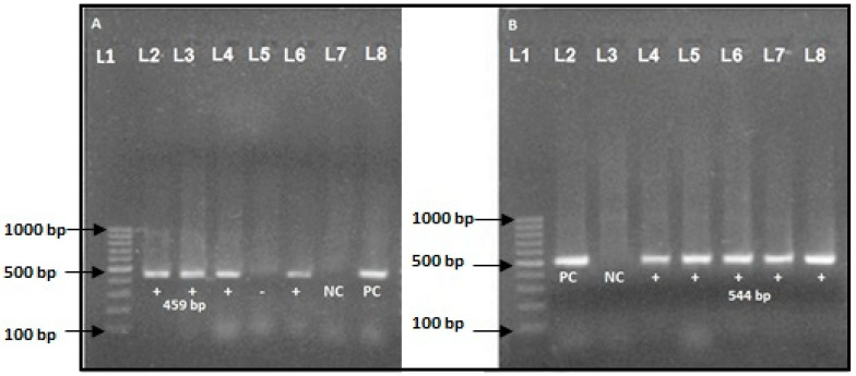 Figure 4