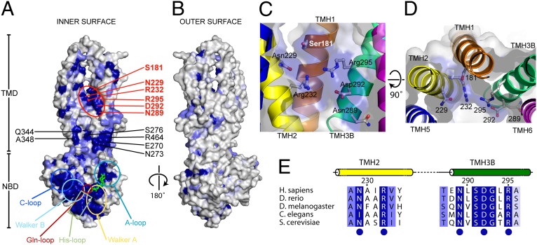 Fig. 5.