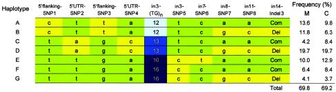 Figure  4