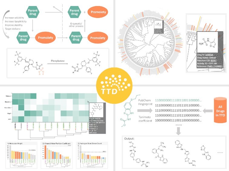 Graphical Abstract