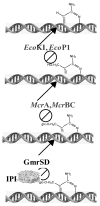 Fig. 7