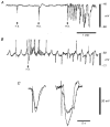 Figure 8