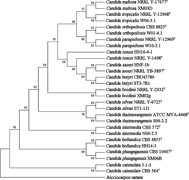 Fig. 1