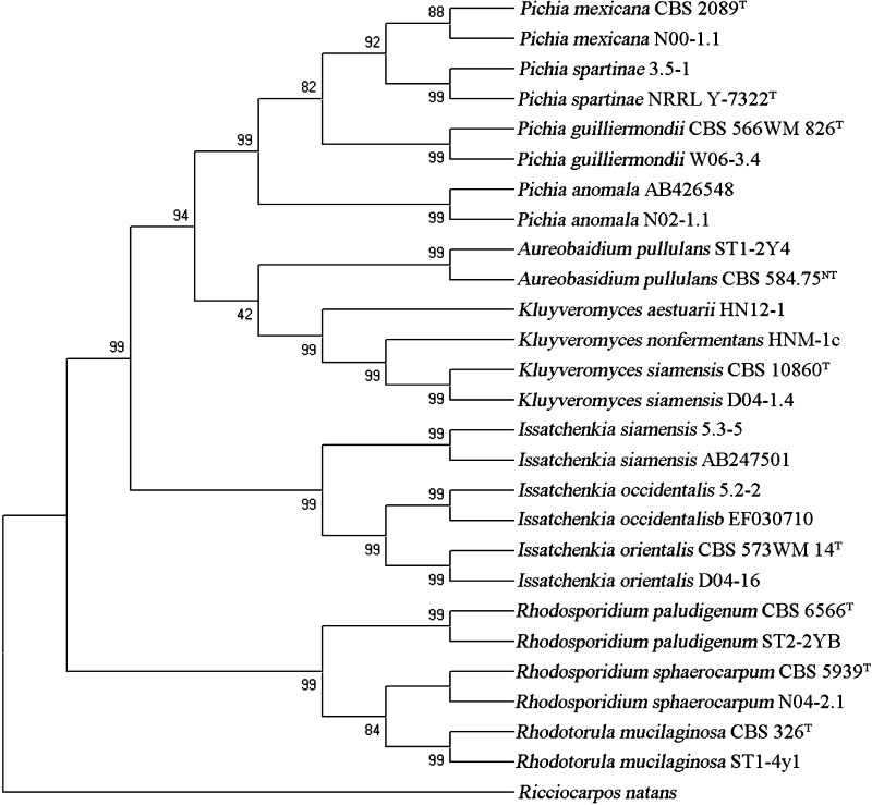 Fig. 2