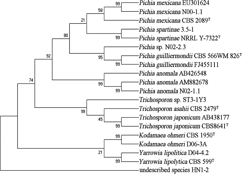 Fig. 4