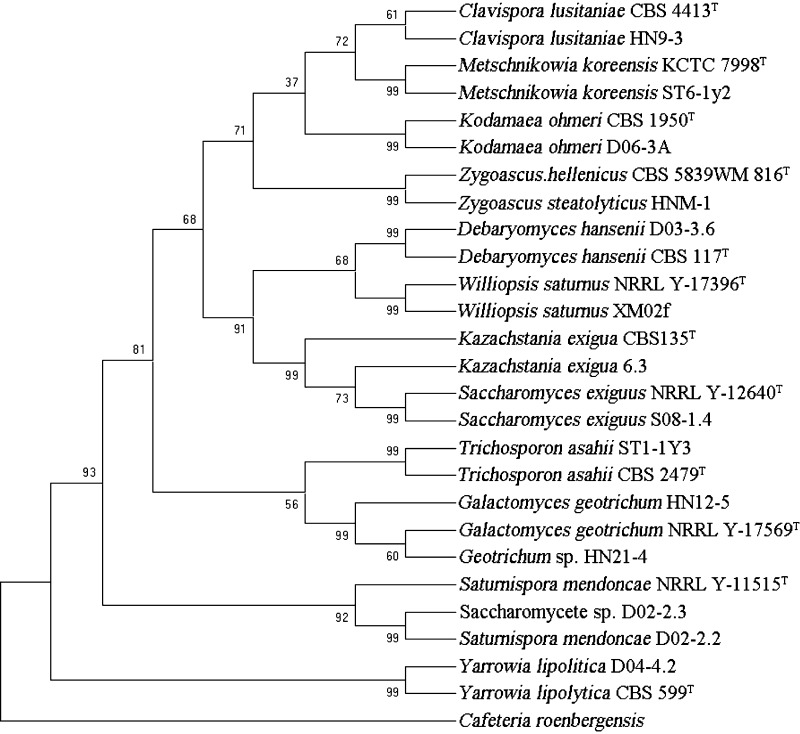 Fig. 3