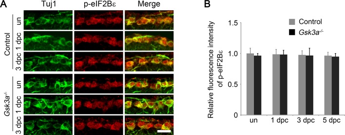 Figure 5—figure supplement 2.