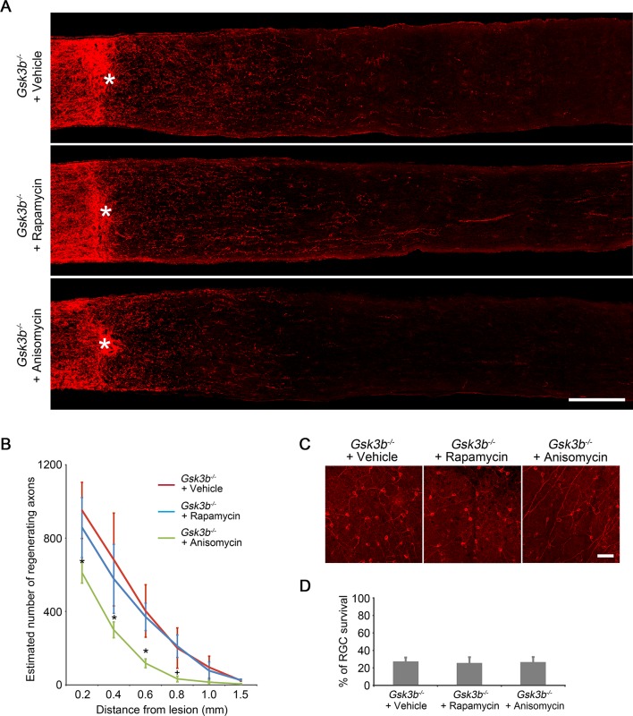 Figure 4—figure supplement 1.