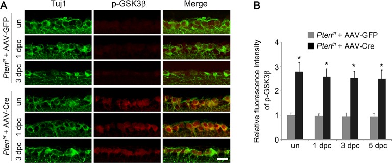 Figure 2—figure supplement 2.