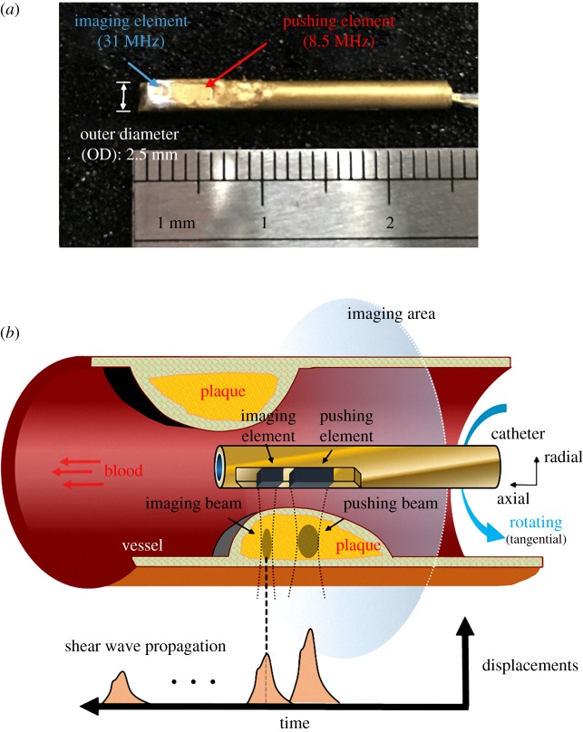 Figure 1.