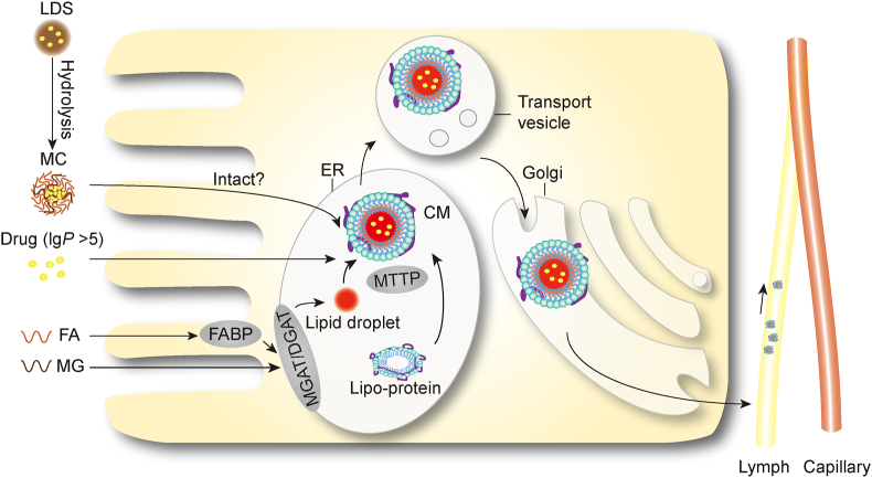 Figure 2