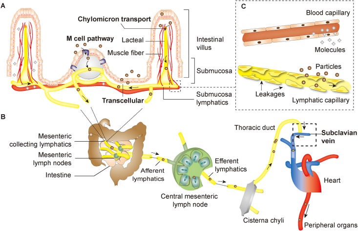 Figure 1