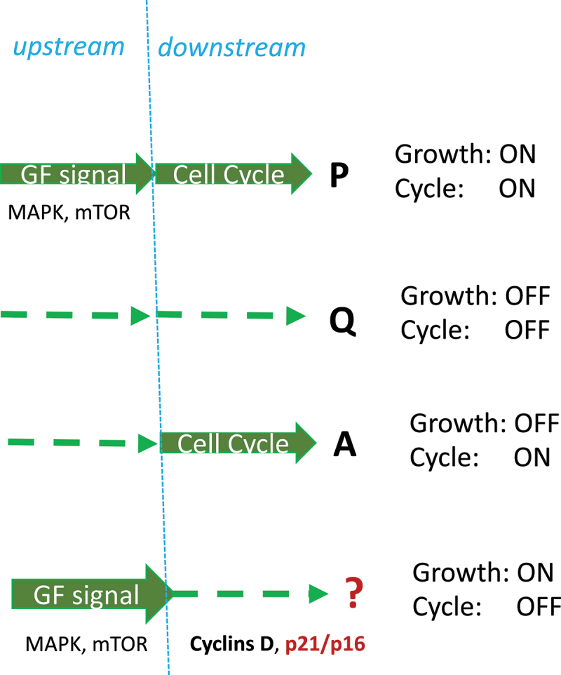 Figure 7.