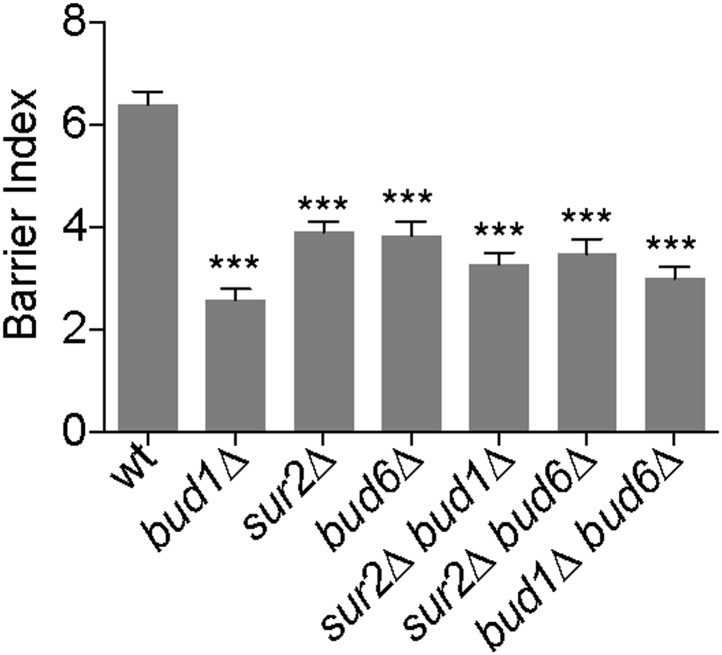 Figure 9.