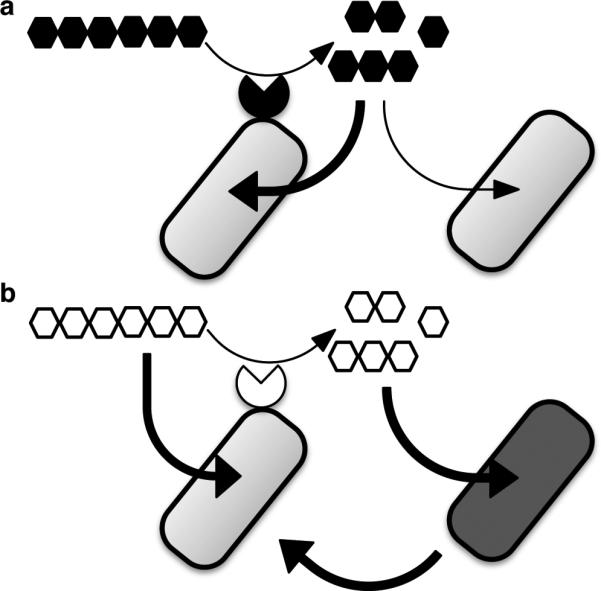 Extended Data Figure 10