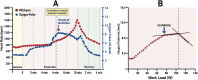 Figure 28