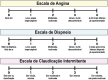 Figura 7