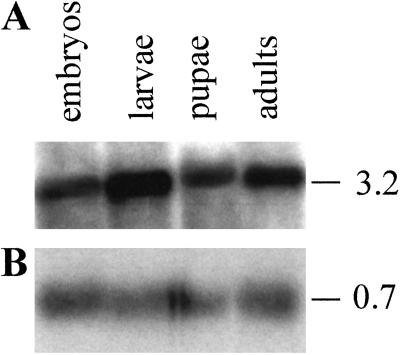 Fig 3.