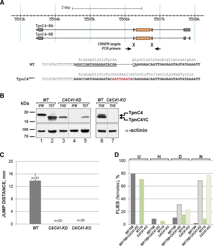 FIGURE 4: