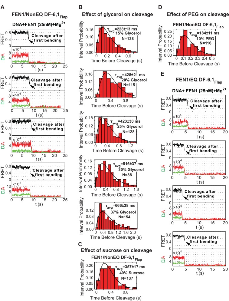 Figure 2—figure supplement 1.