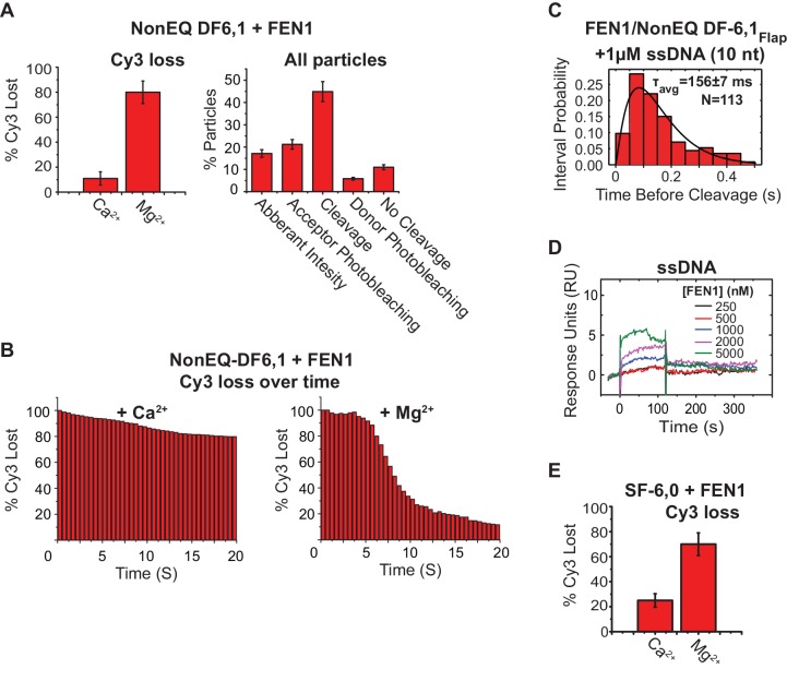 Figure 2—figure supplement 2.