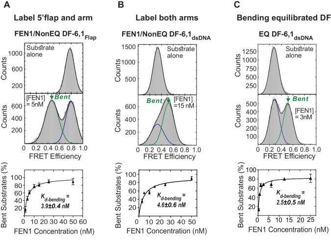 Figure 1—figure supplement 1.