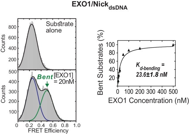 Figure 1—figure supplement 5.