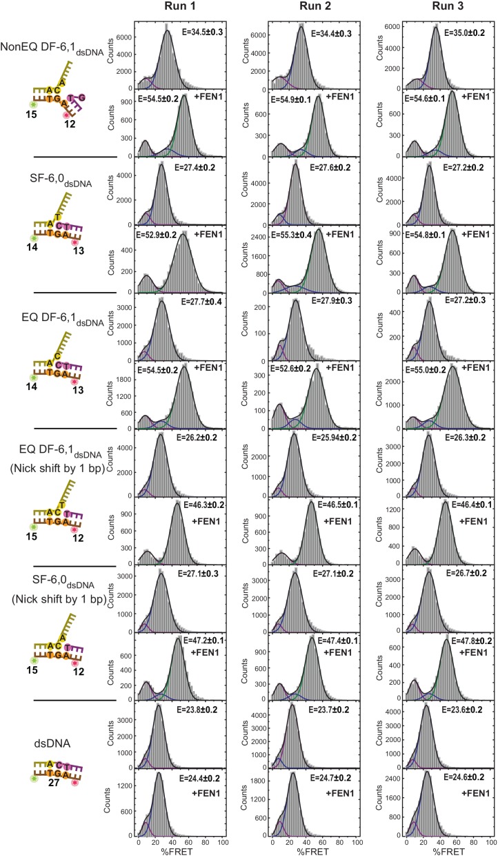 Figure 3—figure supplement 1.