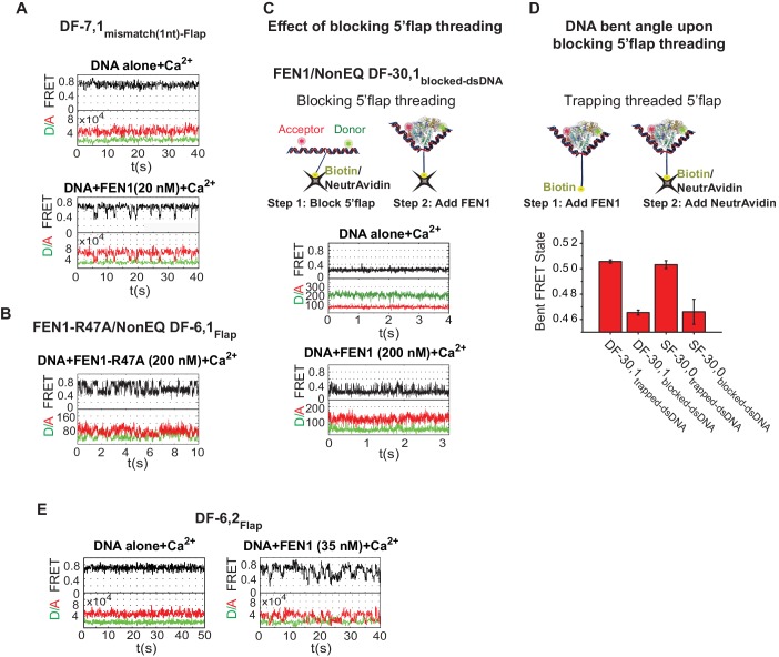 Figure 4—figure supplement 1.