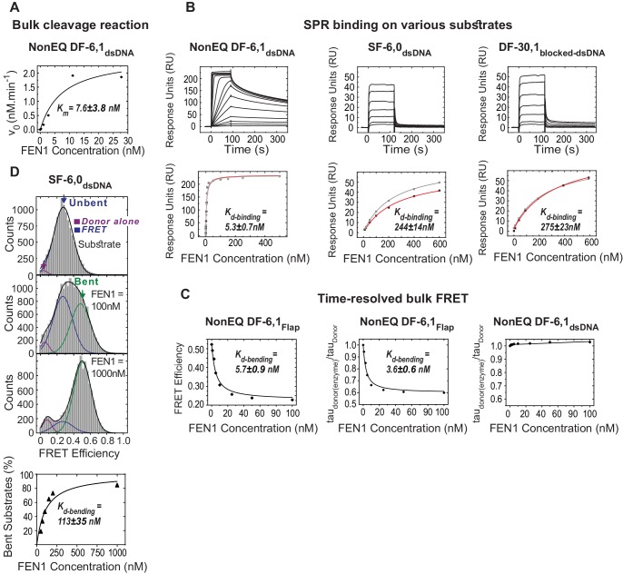 Figure 1—figure supplement 4.