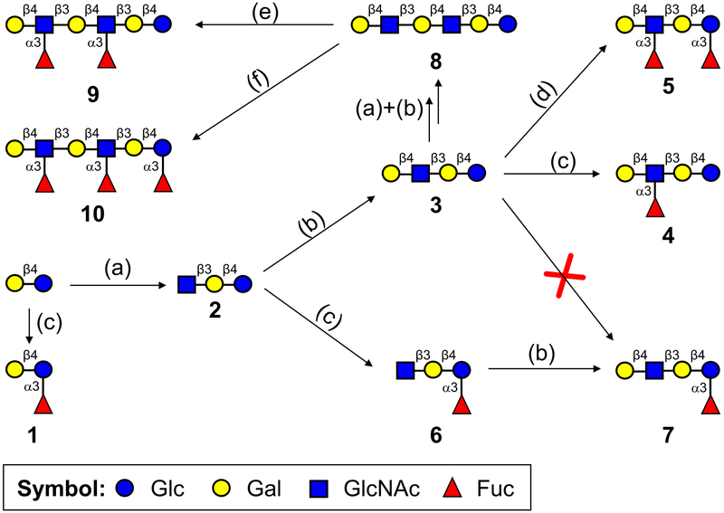 Scheme 1.