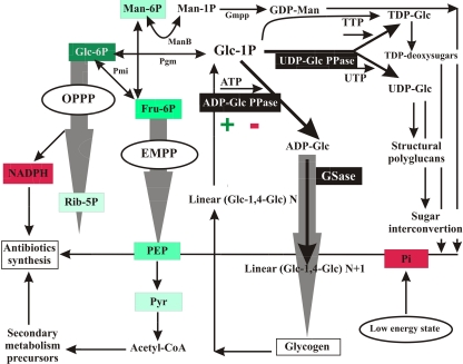 Fig 5