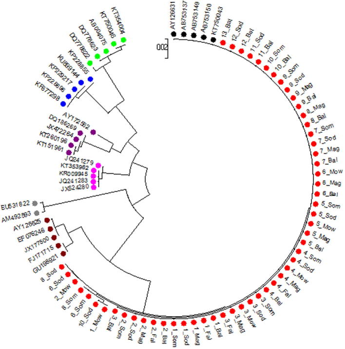 Fig. 2