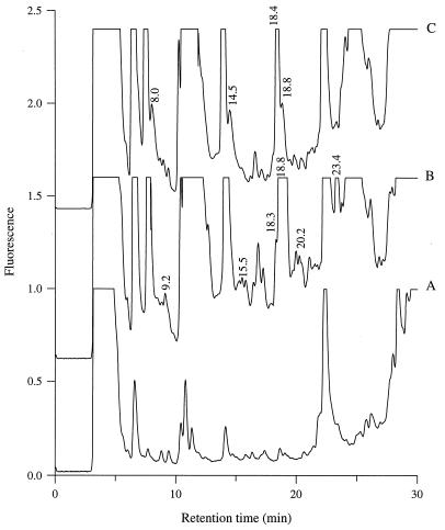 FIG. 1