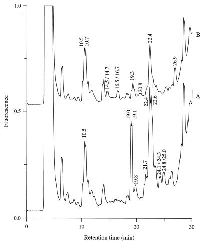 FIG. 3