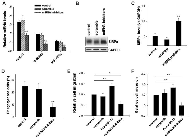 FIG. 7