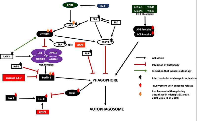 Figure 2: